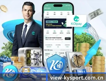 开云app下载中心应用界面