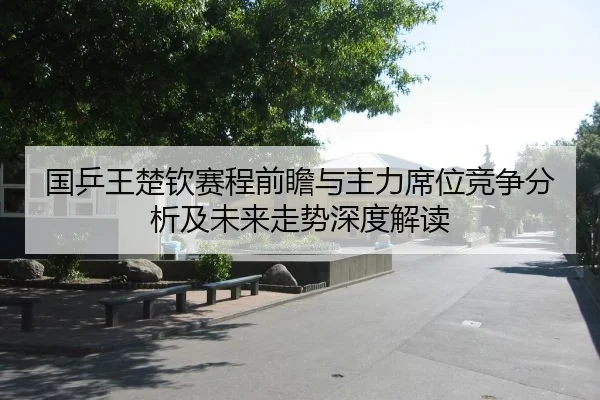 国乒王楚钦赛程前瞻与主力席位竞争分析及未来走势深度解读